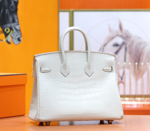 Hermes Birkin 25cm Craie Matte Alligator  with Gold hardware