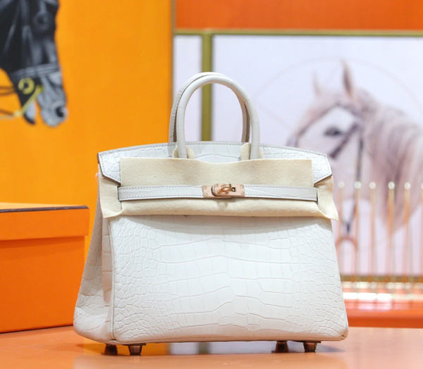 Hermes Birkin 25cm Craie Matte Alligator  with Gold hardware