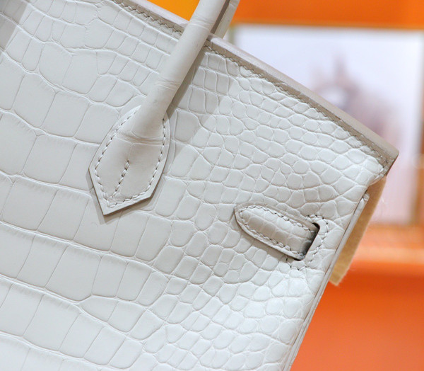 Hermes Birkin 25cm Craie Matte Alligator  with Gold hardware