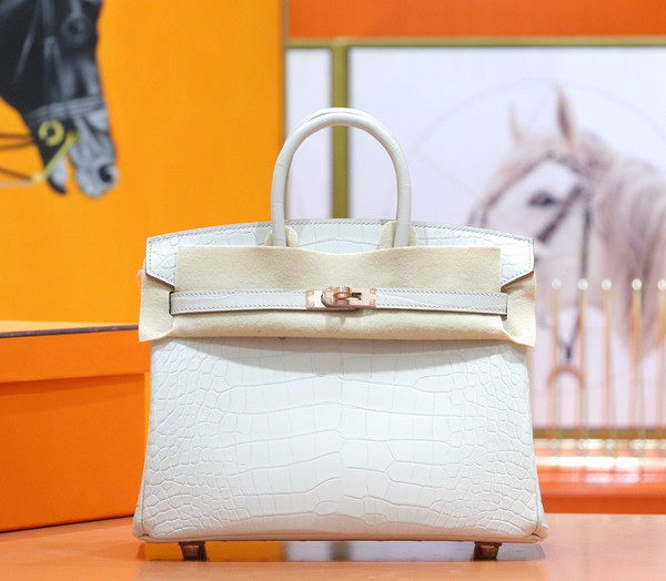 Hermes Birkin 25cm Craie Matte Alligator  with Gold hardware