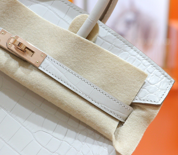 Hermes Birkin 25cm Craie Matte Alligator  with Gold hardware