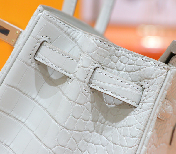 Hermes Birkin 25cm Craie Matte Alligator  with Gold hardware