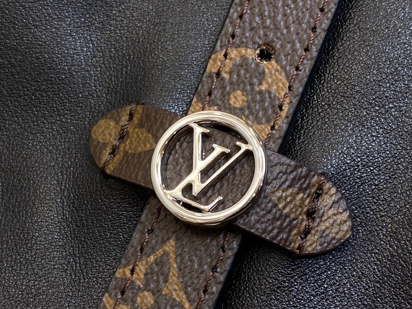 Louis Vuitton M46288 CarryAll PM Bag