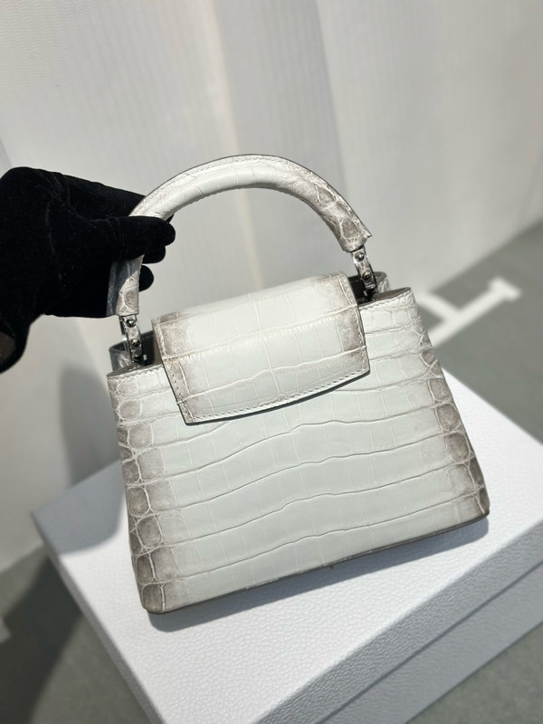 LOUIS VUITTON Himalaya Crocodile BB Capucines