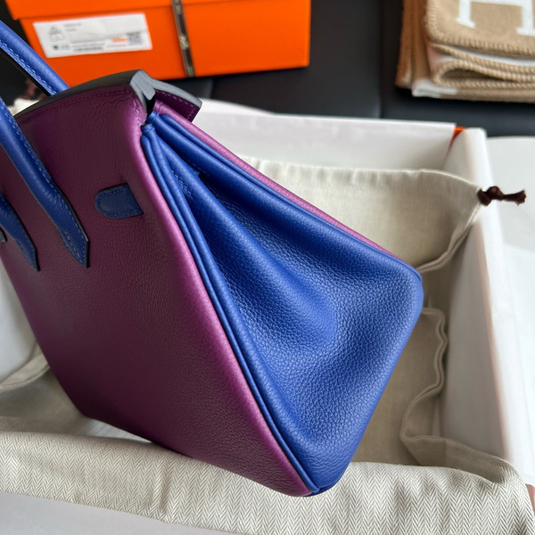 Hermes Special Order Iris/Blue Electric Birkin 25 cm Togo Gold Hardware
