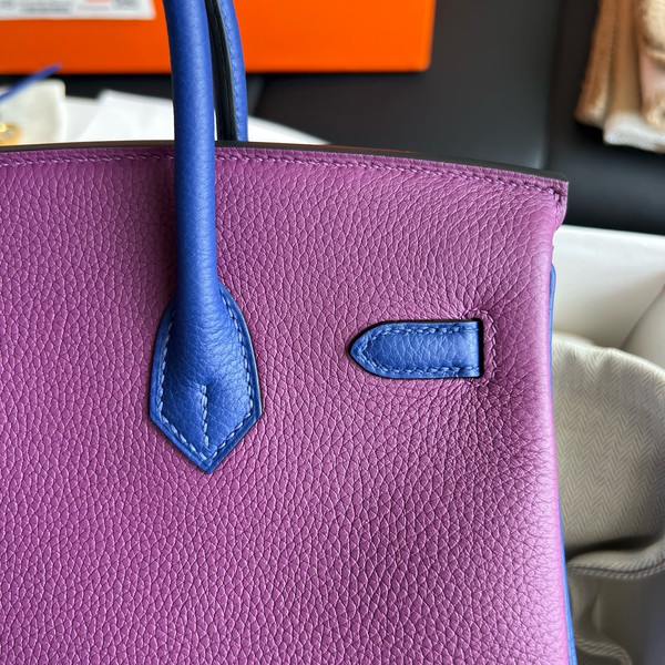 Hermes Special Order Iris/Blue Electric Birkin 25 cm Togo Gold Hardware