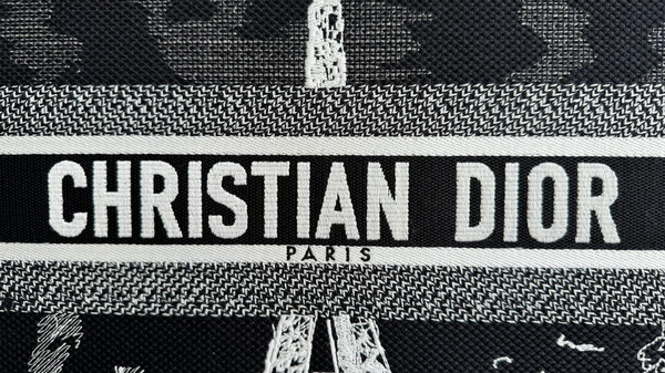 Christian Dior Medium Dior Book Tote  Black and White Paris Embroidery