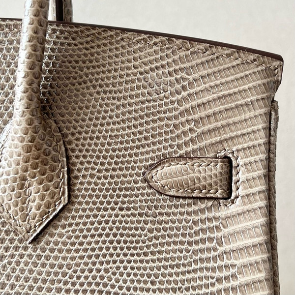 Hermes Chai Lizard Birkin Bag 25cm Palladium Hardware