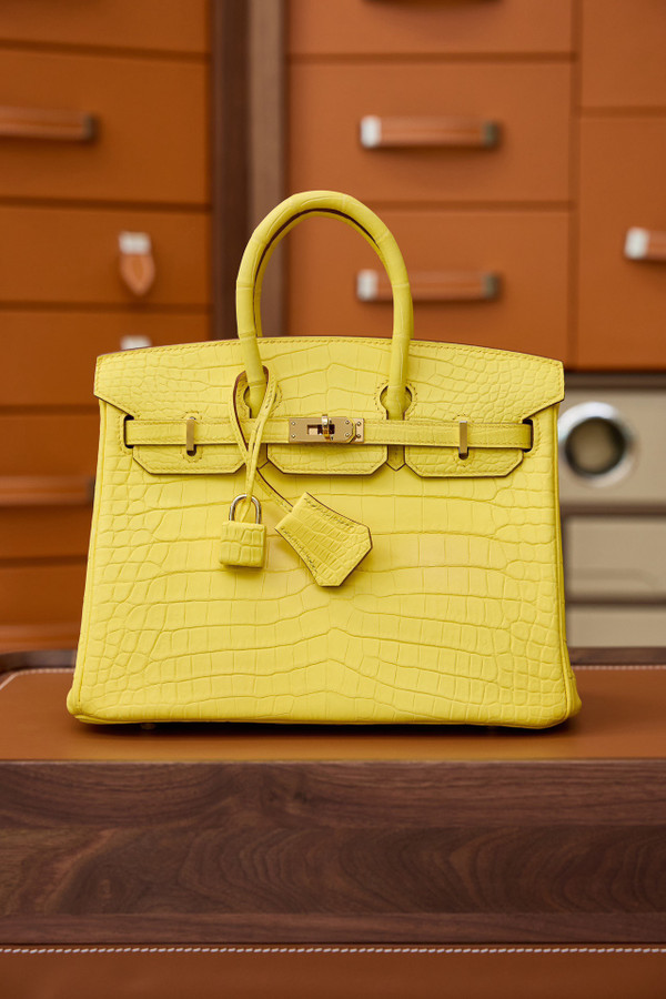 Hermes Birkin 25cm Mimosa Matte Alligator  with Gold hardware