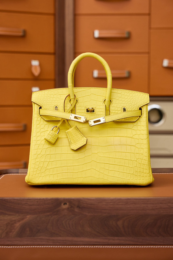 Hermes Birkin 25cm Mimosa Matte Alligator  with Gold hardware