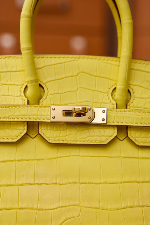 Hermes Birkin 25cm Mimosa Matte Alligator  with Gold hardware