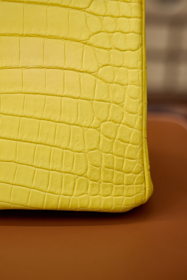 Hermes Birkin 25cm Mimosa Matte Alligator  with Gold hardware