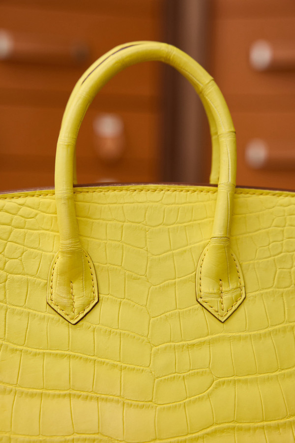 Hermes Birkin 25cm Mimosa Matte Alligator  with Gold hardware