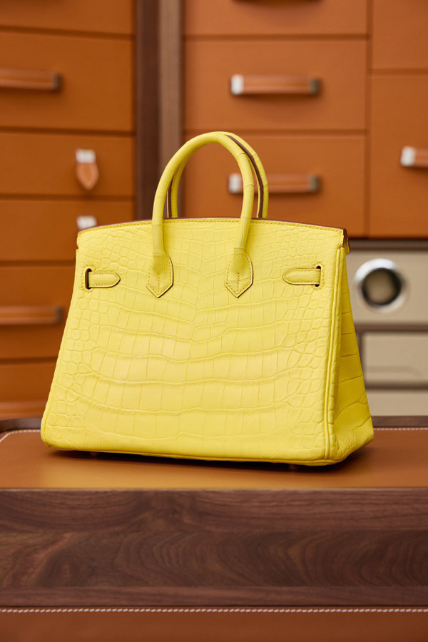 Hermes Birkin 25cm Mimosa Matte Alligator  with Gold hardware