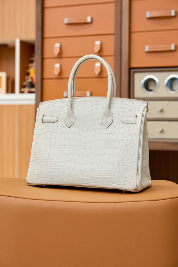 Hermes Birkin 25cm Béton Matte Alligator  with Gold hardware