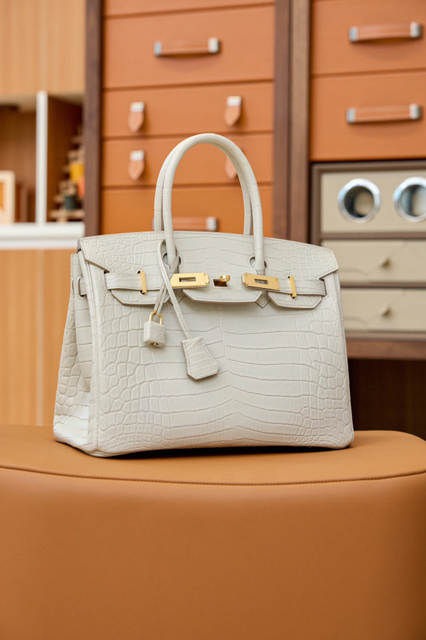 Hermes Birkin 25cm Béton Matte Alligator  with Gold hardware