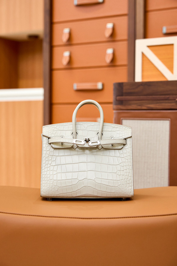 Hermès Birkin 20 Matte Béton Alligator Palladium Hardware