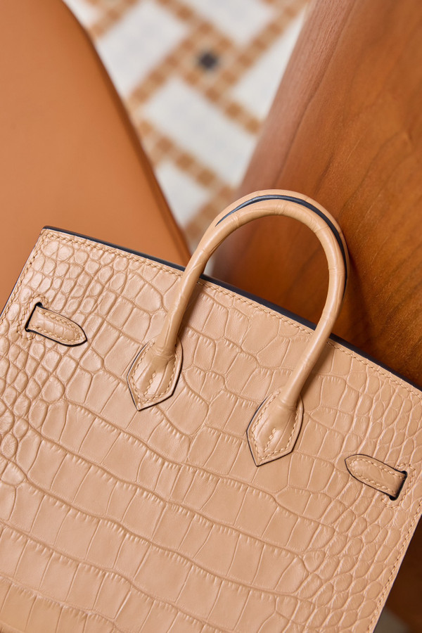 Hermès Birkin 20 Matte Masala Chai Alligator Gold Hardware