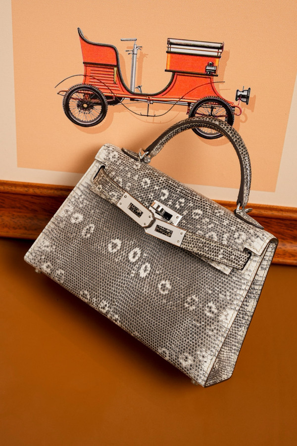 Hermes Mini Kelly II 20 Ombré Lizard Natural