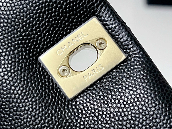 Chanel MINI FLAP BAG WITH TOP LIZARD HANDLE 2024
