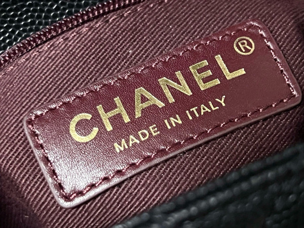 Chanel MINI FLAP BAG WITH TOP LIZARD HANDLE 2024