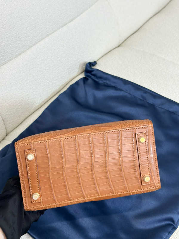 Hermès Birkin 20 Gold  Alligator Gold Hardware
