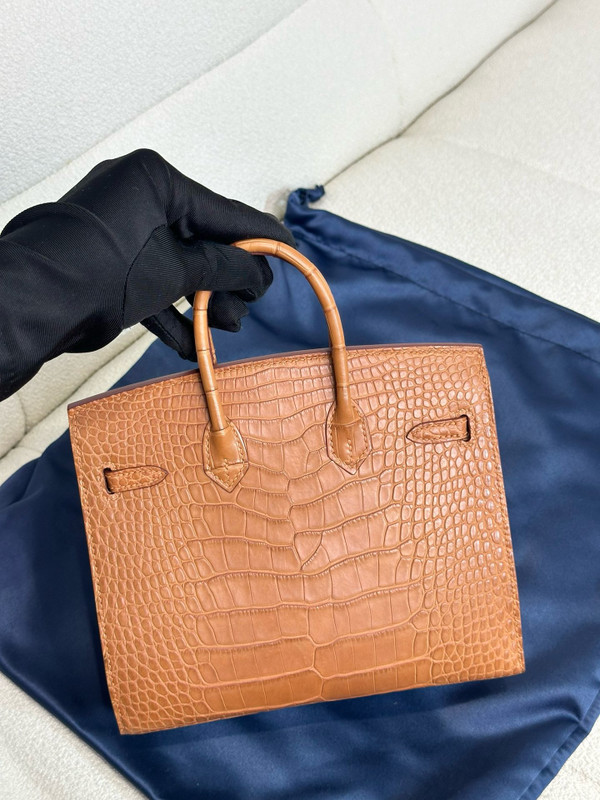 Hermès Birkin 20 Gold  Alligator Gold Hardware