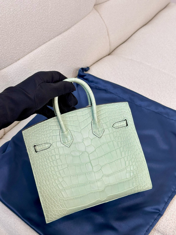 Hermès Birkin 20 Mint Alligator Gold Hardware