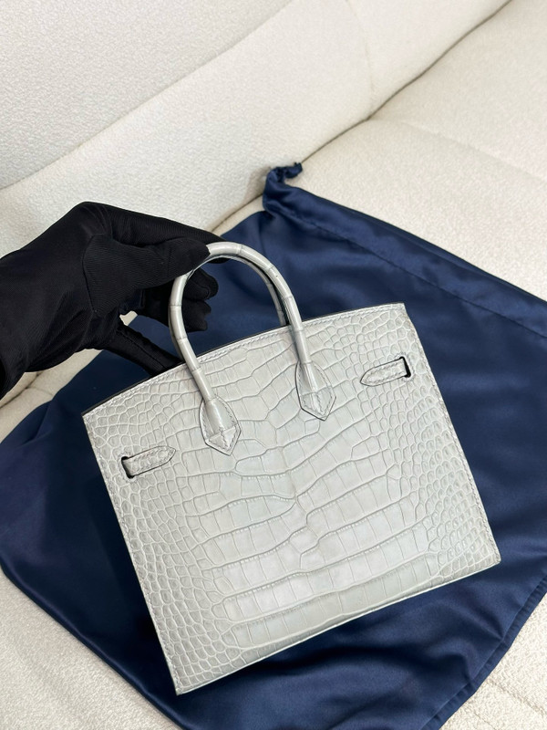 Hermès Birkin 20 Gris Neve Alligator Gold Hardware