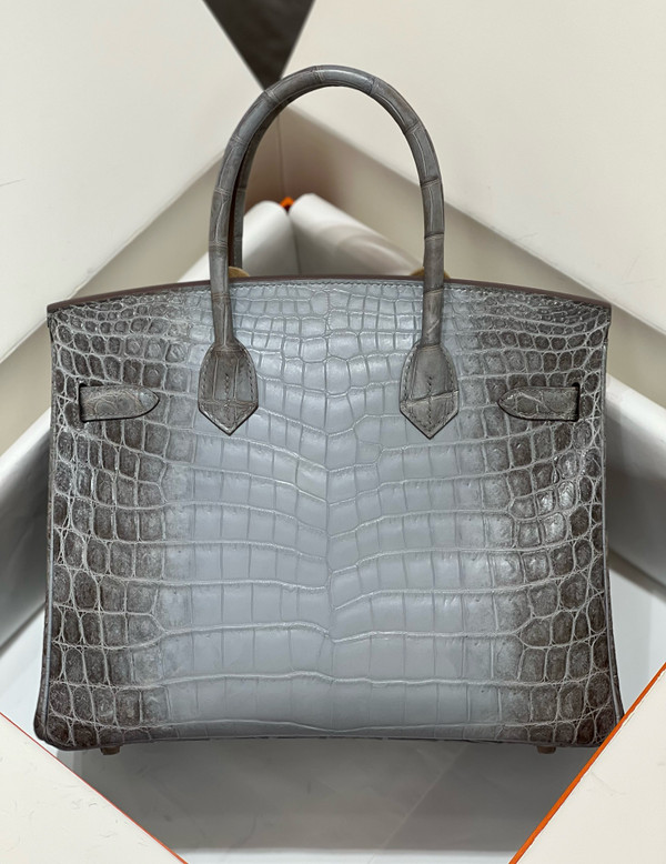 Hermes Matte Himalayan Night Niloticus Crocodile  Birkin bag 30 cm