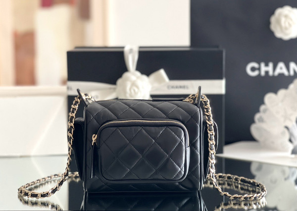 Chanel SMALL CAMERA CASE 2024