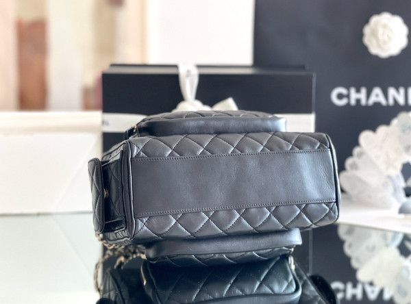 Chanel LARGE CAMERA CASE 2024