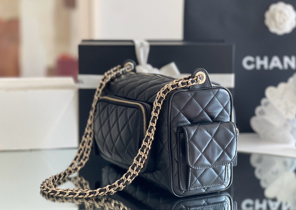 Chanel LARGE CAMERA CASE 2024