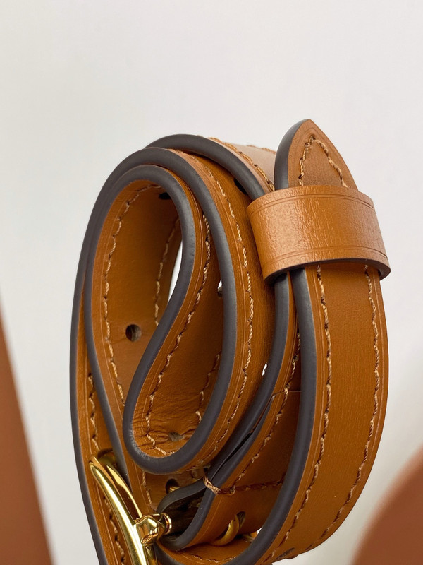 Louis Vuitton  Loop Hobo