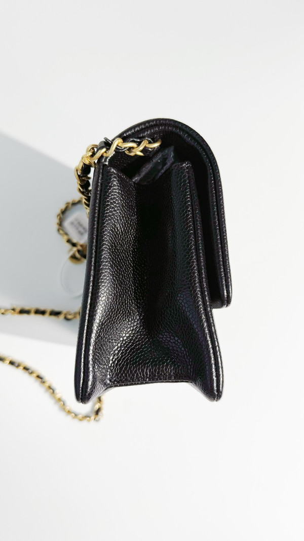 CHANEL FALL-WINTER 2024/25 SMALL FLAP BAG
