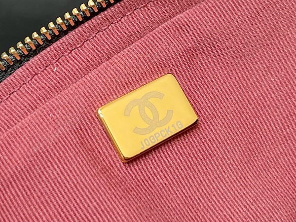 CHANEL FALL-WINTER 2024/25   MINI CAMERA CASE