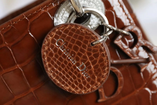 Christian Dior Lady Dior Mini Crocodile Silver Hardware with Crystals Brown