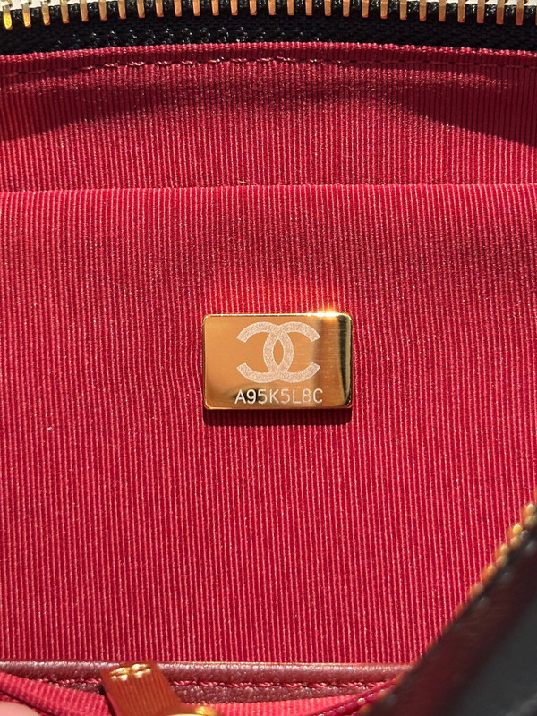 CHANEL FALL-WINTER 2024/25   MINI CAMERA CASE   Shiny Lambskin & Gold-Tone Metal  Black