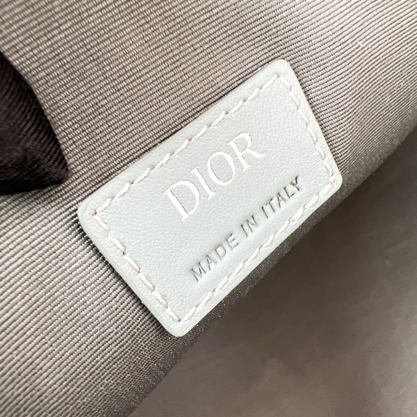 Christian Dior Hit the Road Pet Carrier Bag Dior Gray
