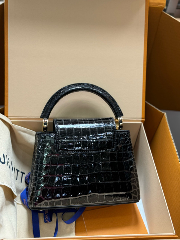 Louis Vuitton CAPUCINES MINI Crocodilien Brillant Black with Crystal Hardware