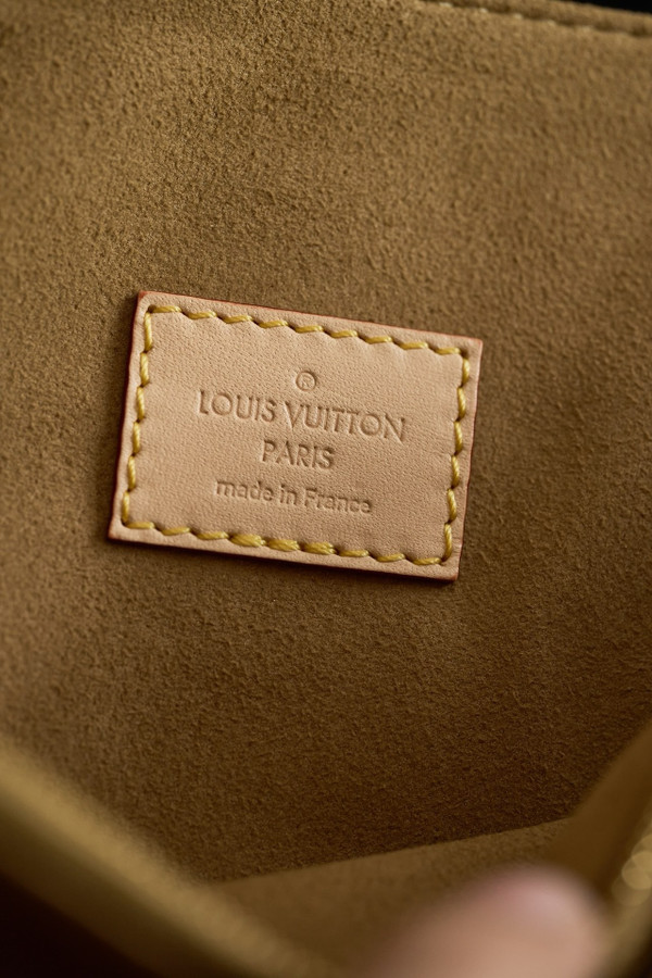 Louis Vuitton M47149 Dauphine Soft GM Bag