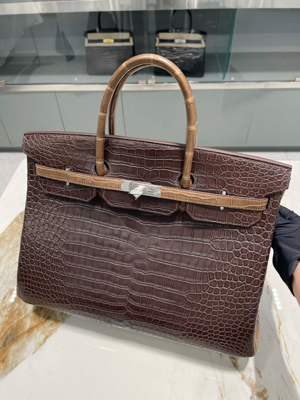 Hermes Bi-coloured Birkin 40 in Porosus  Crocodile with Palladium hardware