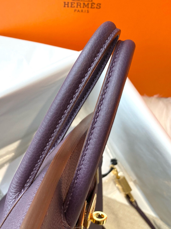 Hermes Raisin Birkin 25 cm Togo Gold Hardware