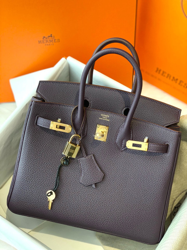 Hermes Raisin Birkin 25 cm Togo Gold Hardware