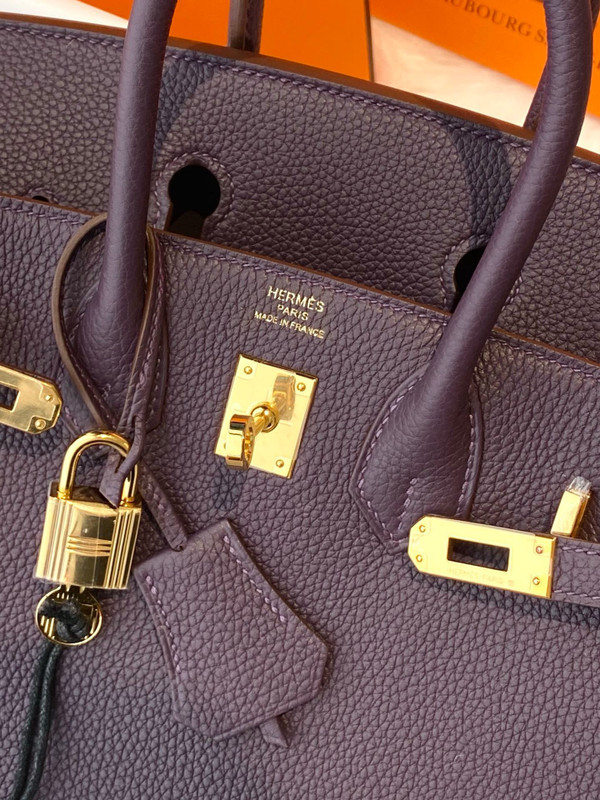 Hermes Raisin Birkin 25 cm Togo Gold Hardware
