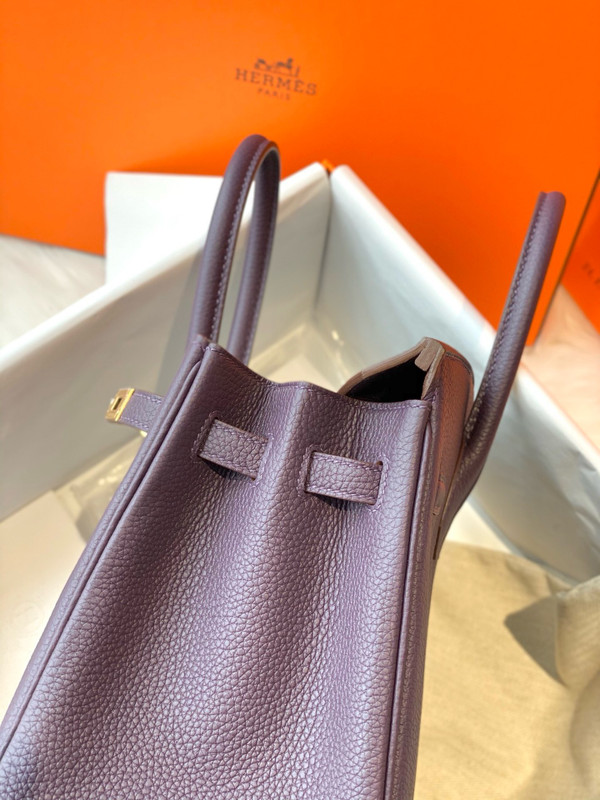 Hermes Raisin Birkin 25 cm Togo Gold Hardware