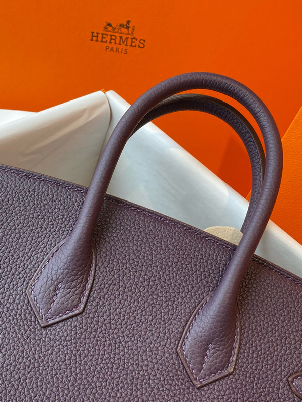 Hermes Raisin Birkin 25 cm Togo Gold Hardware