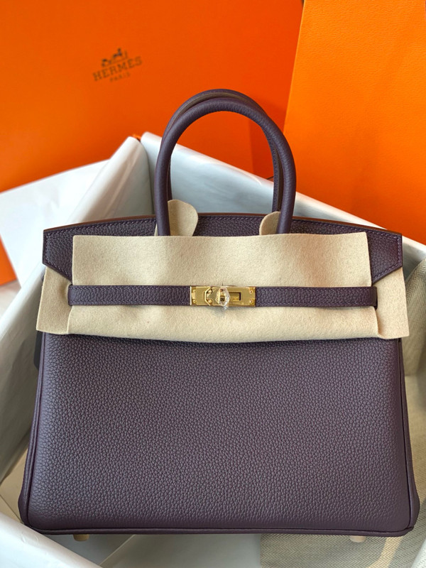 Hermes Raisin Birkin 25 cm Togo Gold Hardware
