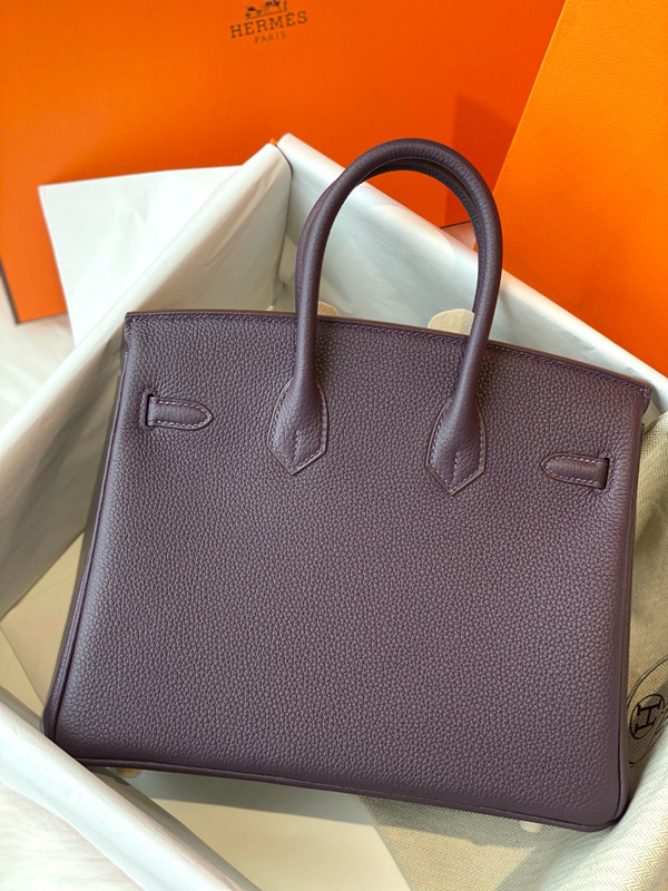 Hermes Raisin Birkin 25 cm Togo Gold Hardware