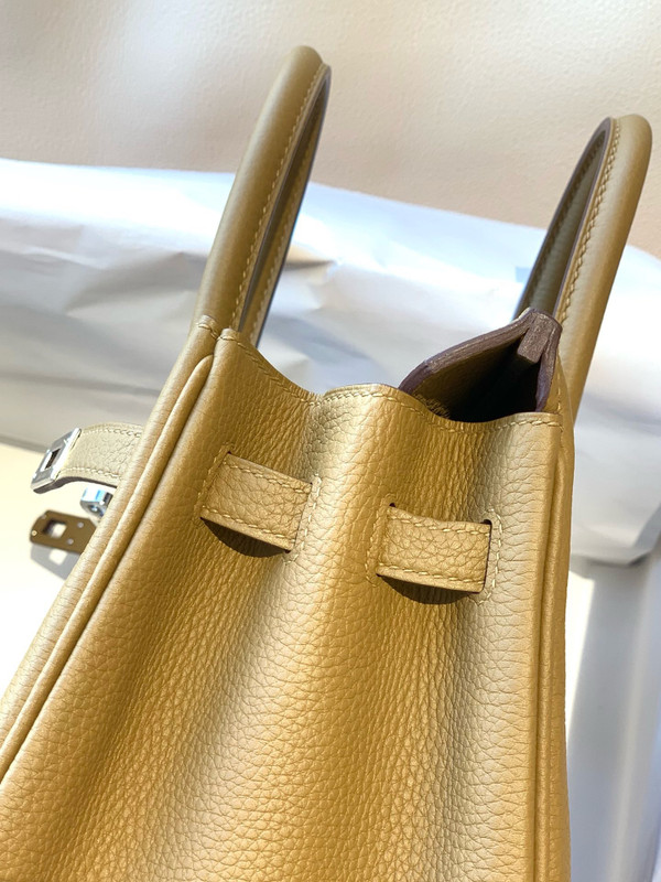 Hermes U8 Bronze Sore Birkin 25 cm Togo Palladium Hardware